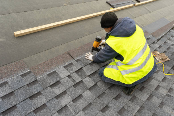 Best Local Roofing Companies  in Lake Odessa, MI