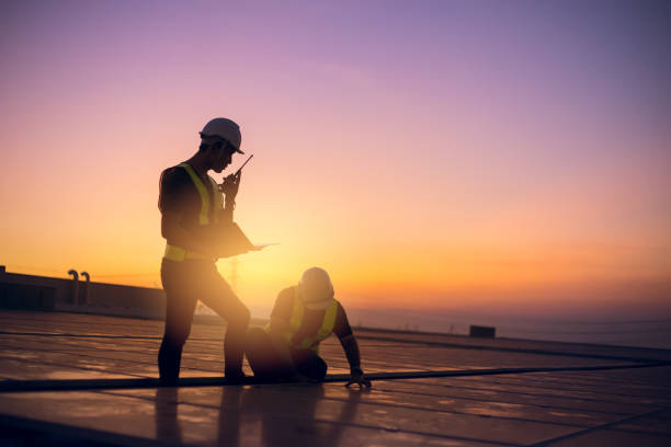 Best Roof Waterproofing Services  in Lake Odessa, MI