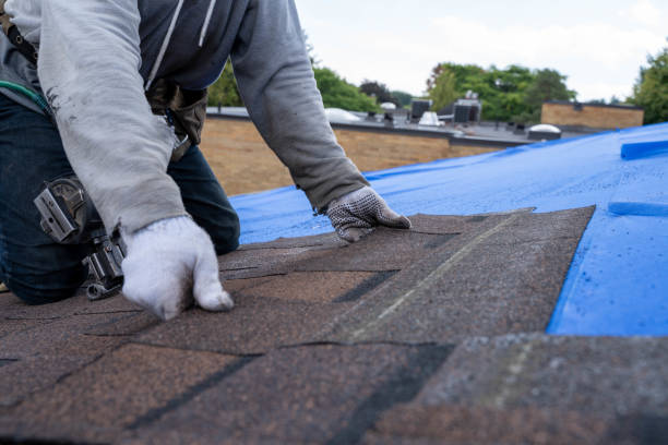 Reliable Lake Odessa, MI Roofing Contractor Solutions