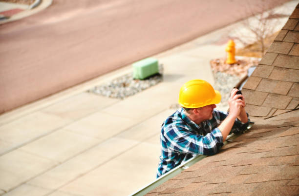 Best Roof Gutter Cleaning  in Lake Odessa, MI