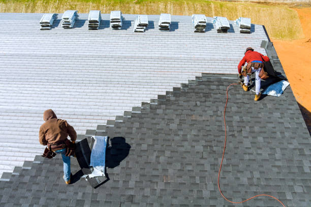 Roof Installation Near Me in Lake Odessa, MI
