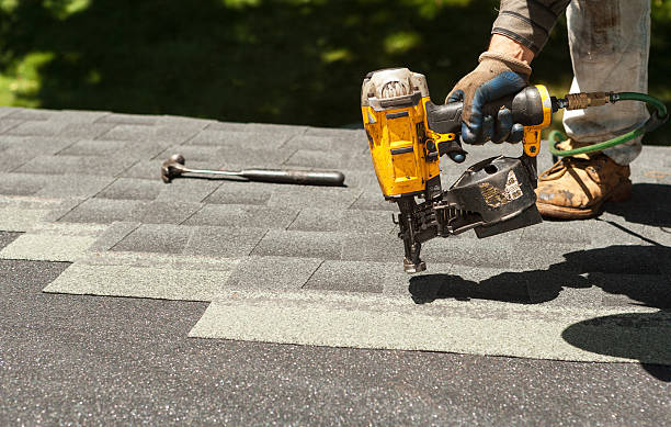 Roof Gutter Cleaning in Lake Odessa, MI