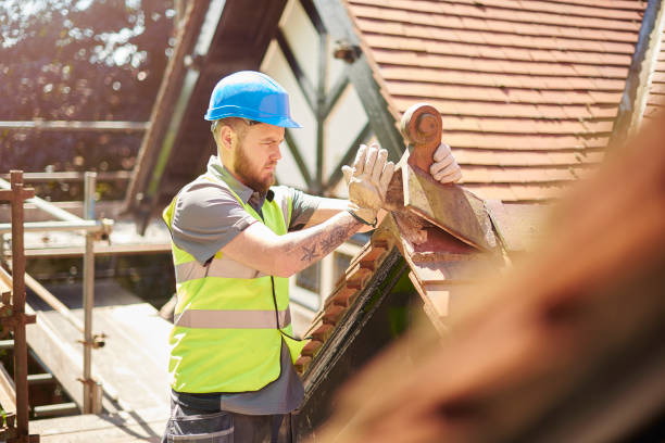Best Storm Damage Roof Repair  in Lake Odessa, MI